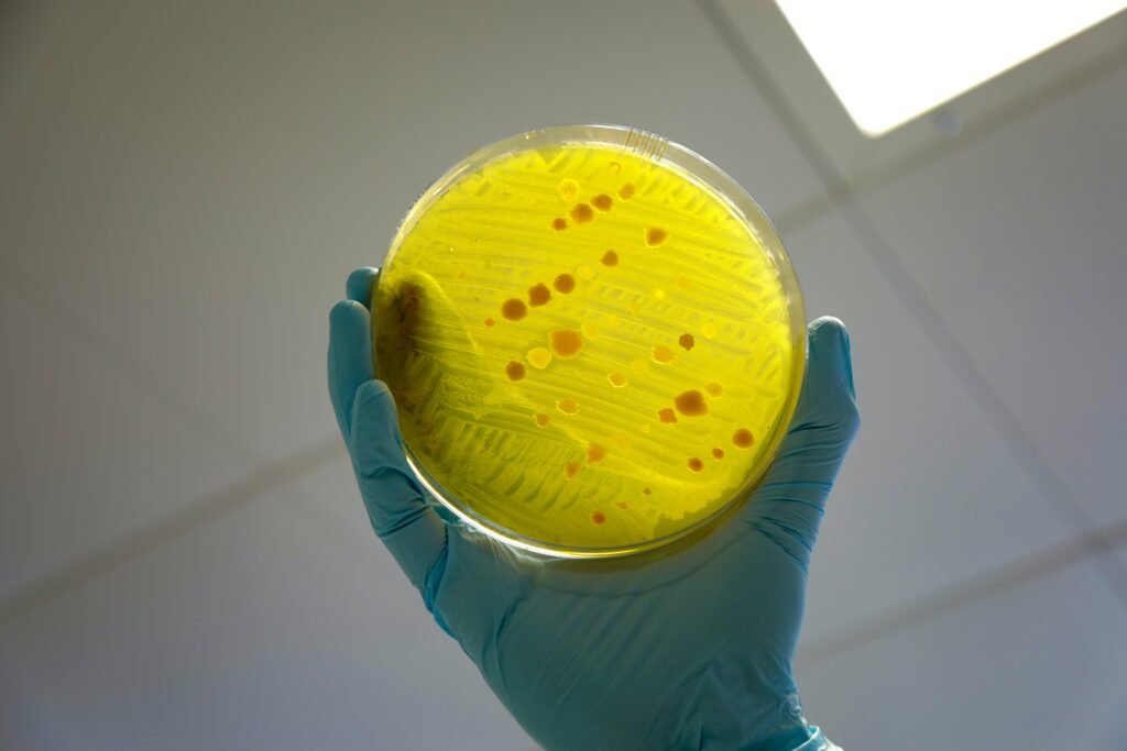 A gloved hand holding a culture plate with a single pale colony field at its centre.