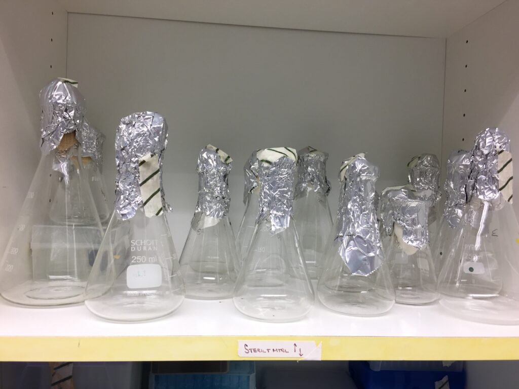 Foil-capped conical flasks cooling on a rack after autoclaving.